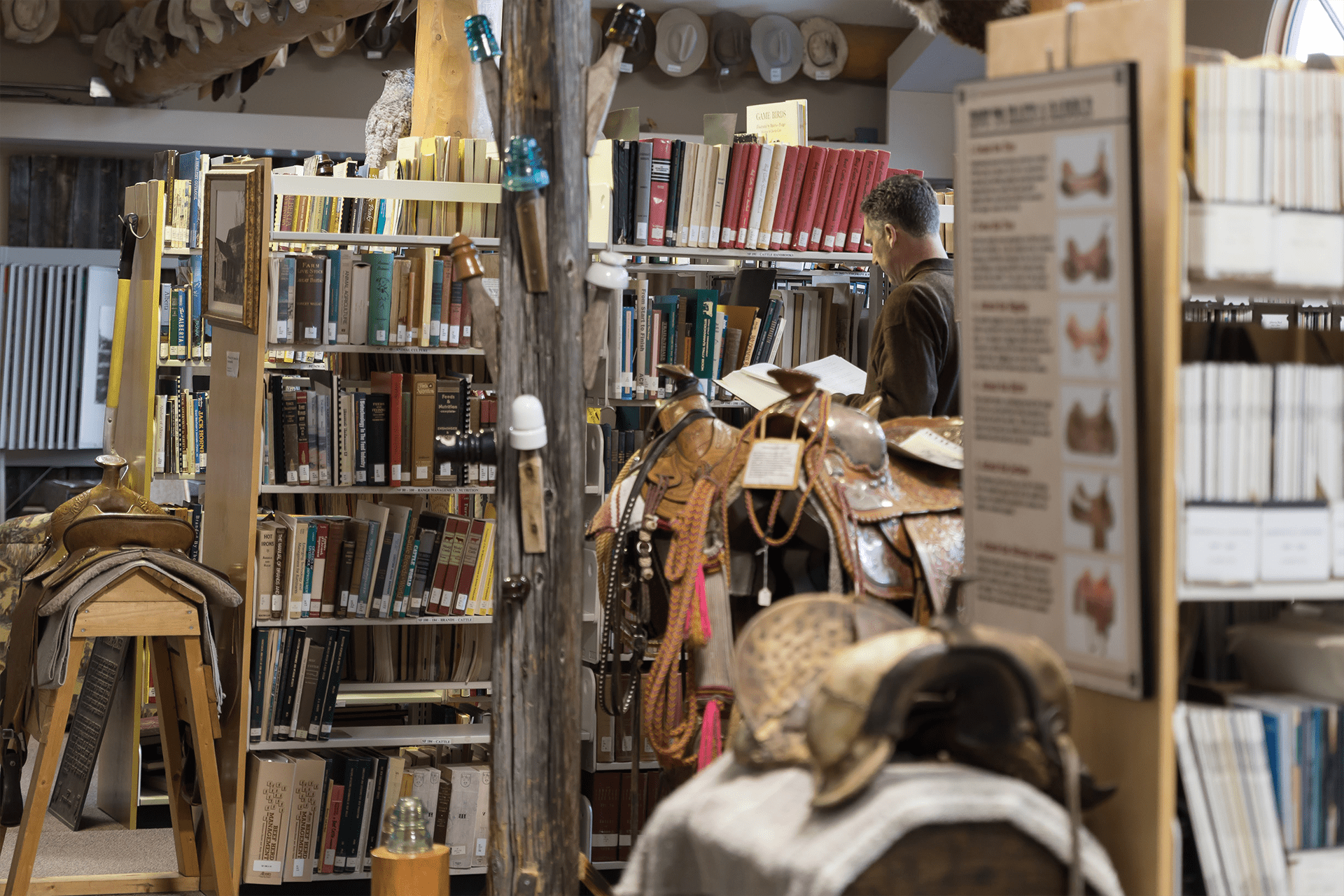 SMF Library Book Shelves