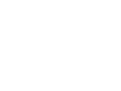 Elevate-Financial-Strategies